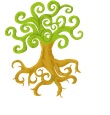 L'albero di Kalaloch