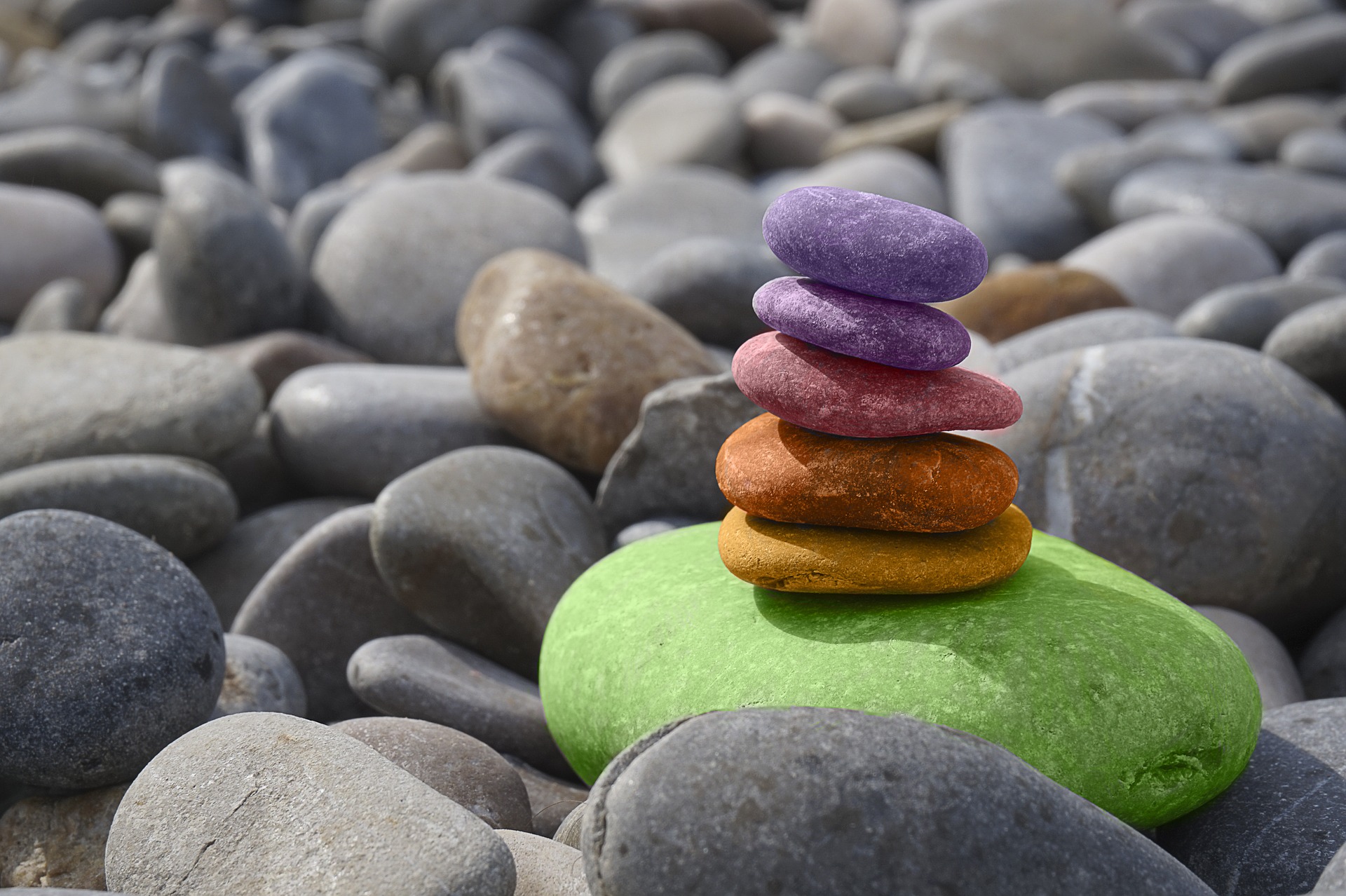 scopri la Mindfulness
