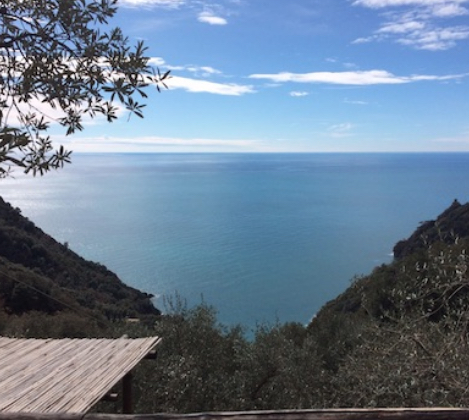Mindfulness nella natura